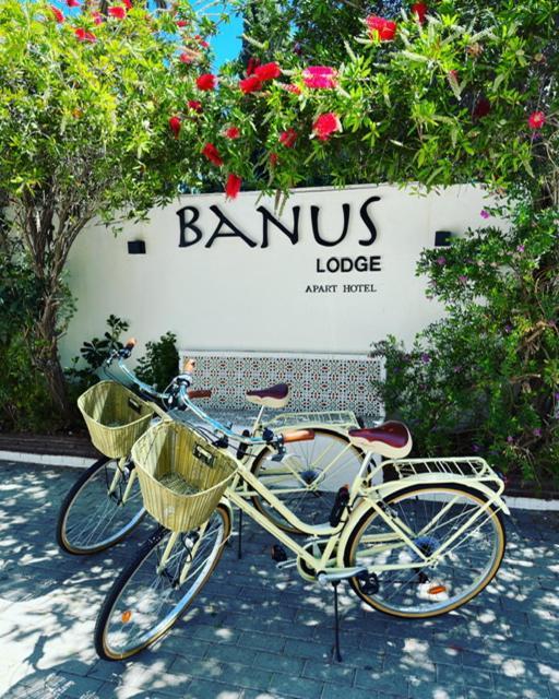 Banus Lodge Marbella Exterior foto