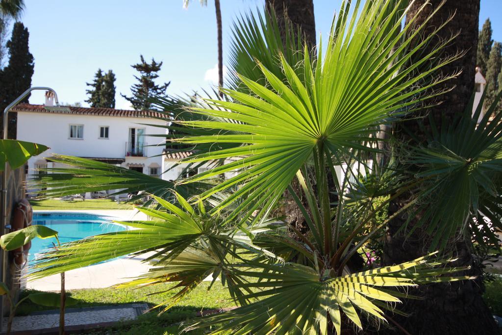 Banus Lodge Marbella Exterior foto